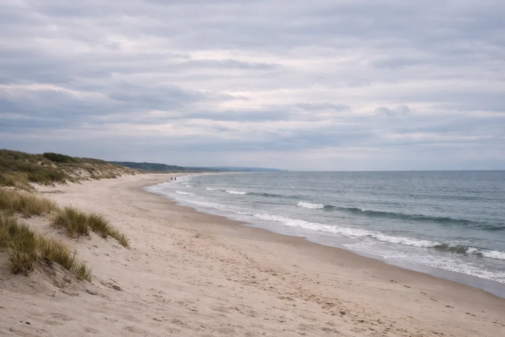 Quiet northern European beach with pale sand, grassy dunes, gentle waves, and a cloudy sky shoreline view.