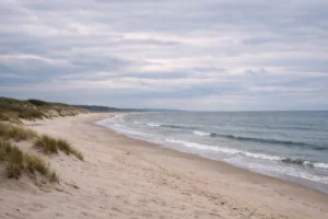 Quiet northern European beach with pale sand, grassy dunes, gentle waves, and a cloudy sky shoreline view.